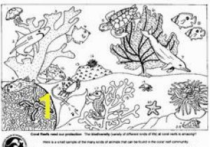 Coloring Pages Of Coral Reefs 256 Best Kids Coloring Pages Images On Pinterest