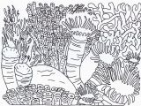 Coloring Pages Of Coral Reefs Best Coral Reef Coloring Page Coloring Pages