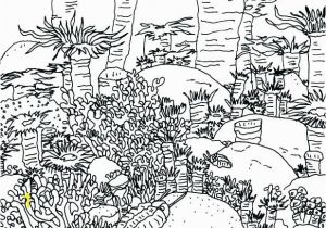 Coloring Pages Of Coral Reefs Coral Reef Coloring Pages Coral Reef Coloring Page Coral Reef