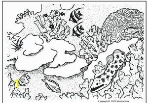 Coloring Pages Of Coral Reefs Coral Reef Coloring Pages Coral Reef Coloring Pages Simple Coral