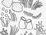 Coloring Pages Of Coral Reefs Drawing Underwater Coral Reef Coral Reef Pinterest