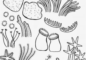 Coloring Pages Of Coral Reefs Drawing Underwater Coral Reef Coral Reef Pinterest