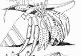 Coloring Pages Of Coral Reefs Kids Under 7 Underwater World Coloring Pages