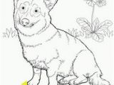 Coloring Pages Of Corgis 452 Best Woodburning Ideas Corgi Images On Pinterest