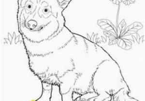 Coloring Pages Of Corgis 452 Best Woodburning Ideas Corgi Images On Pinterest