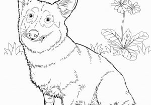 Coloring Pages Of Corgis Free Coloring Pages Of Dog Outline Road Trip Pinterest