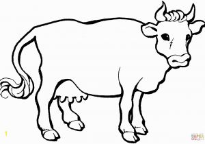 Coloring Pages Of Cows Free Printable Unique Cow Coloring Sheet Collection