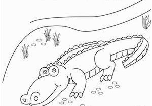 Coloring Pages Of Crocodiles Animal Coloring Pages Coloring Pages Pinterest