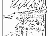 Coloring Pages Of Crocodiles Crocodile Coloring Page