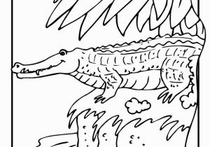 Coloring Pages Of Crocodiles Crocodile Coloring Page