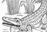 Coloring Pages Of Crocodiles Crocodile Coloring Pages to Print