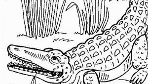 Coloring Pages Of Crocodiles Crocodile Coloring Pages to Print