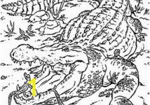 Coloring Pages Of Crocodiles Realistic Nile Crocodile Coloring Page
