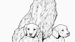 Coloring Pages Of Dogs and Cats Printable Dog Coloring Pages Free Printable In 2020 with Images