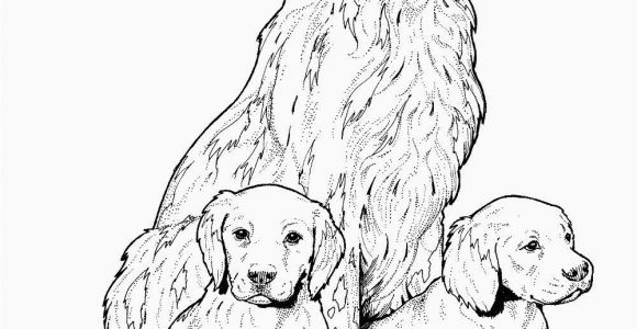 Coloring Pages Of Dogs and Cats Printable Dog Coloring Pages Free Printable In 2020 with Images