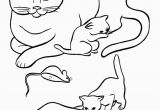 Coloring Pages Of Dogs and Cats Printable Pet Cat Coloring Page