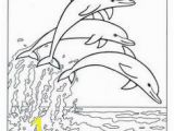 Coloring Pages Of Dolphins Printable 54 Best Delfine Coloring Pages Images