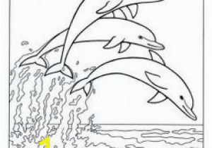 Coloring Pages Of Dolphins Printable 54 Best Delfine Coloring Pages Images