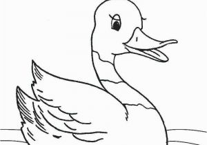 Coloring Pages Of Duck Dynasty Duckbill Platypus Coloring Page 11 Coloring Page Duck Kids Coloring