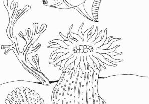 Coloring Pages Of Fish Hooks Fish Hooks Coloring Pages to Print Lovely Fish Hooks Coloring Pages