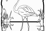 Coloring Pages Of Flamingos Flamingo Coloring Page Coloring Pages Pinterest