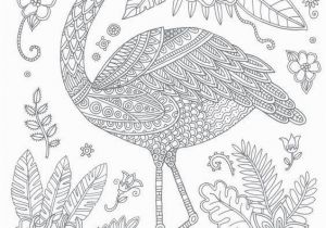 Coloring Pages Of Flamingos Swan Coloring Pages 237 Best Coloring Swan Flamingo