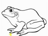 Coloring Pages Of Frogs and Lilypads 42 Best Frog Tattoo Coloring Pages Images On Pinterest