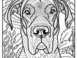 Coloring Pages Of Great Danes 1460 Best Coloring Pages and Such Images