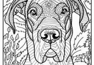 Coloring Pages Of Great Danes 1460 Best Coloring Pages and Such Images