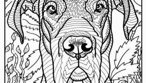 Coloring Pages Of Great Danes Free Printable Great Dane Coloring Page Available for