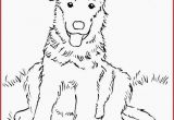 Coloring Pages Of Huskies Husky Coloring Pages Inspirational Husky Coloring Pages New Husky