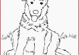 Coloring Pages Of Huskies Husky Coloring Pages Inspirational Husky Coloring Pages New Husky