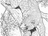 Coloring Pages Of Jaguars Printable 10 Best Jaguar Coloring Pages for Little Es with Images