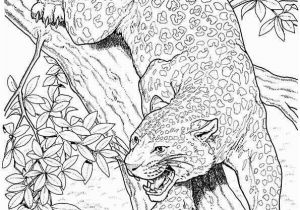 Coloring Pages Of Jaguars Printable 10 Best Jaguar Coloring Pages for Little Es with Images