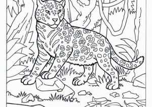 Coloring Pages Of Jaguars Printable Jaguar Coloring Jungle Animals African Animals Africa