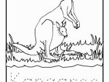 Coloring Pages Of Kangaroos Kangaroo Coloring Page Beautiful Kangaroo Coloring Sheet 13