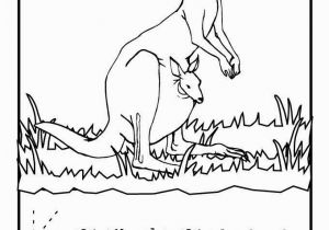 Coloring Pages Of Kangaroos Kangaroo Coloring Page Beautiful Kangaroo Coloring Sheet 13