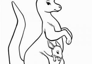 Coloring Pages Of Kangaroos Kangaroo Coloring Page Beautiful Kangaroo Coloring Sheet 13