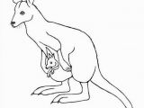 Coloring Pages Of Kangaroos Kangaroo Coloring Sheets Kangaroo Coloring Page Australia Kids