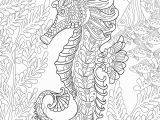 Coloring Pages Of Living Room Pinterest
