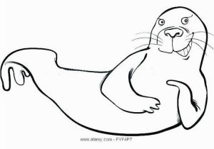 Coloring Pages Of Marines Harp Seal Coloring Pages Talking About Seals is Truly