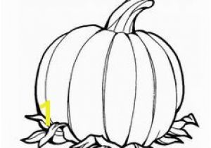 Coloring Pages Of Pumpkins 8 Best Pumpkin Coloring Pages Images On Pinterest