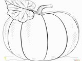 Coloring Pages Of Pumpkins Pumpkin Color Pages Bino 9terrains