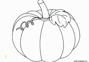 Coloring Pages Of Pumpkins Pumpkin Coloring Pages for toddlers Related Post Halloween Pumpkin