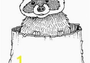 Coloring Pages Of Raccoons 278 Best Autumn Coloring Pages Images On Pinterest