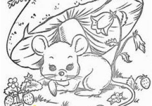 Coloring Pages Of Raccoons Baby Raccoon Coloring Page