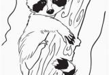 Coloring Pages Of Raccoons Baby Raccoon Coloring Page