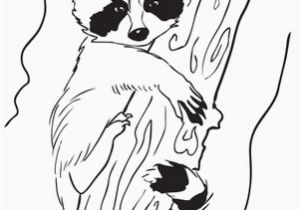 Coloring Pages Of Raccoons Baby Raccoon Coloring Page