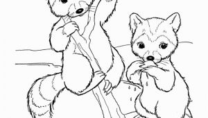 Coloring Pages Of Raccoons Wild Animal Coloring Pages