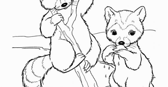 Coloring Pages Of Raccoons Wild Animal Coloring Pages
